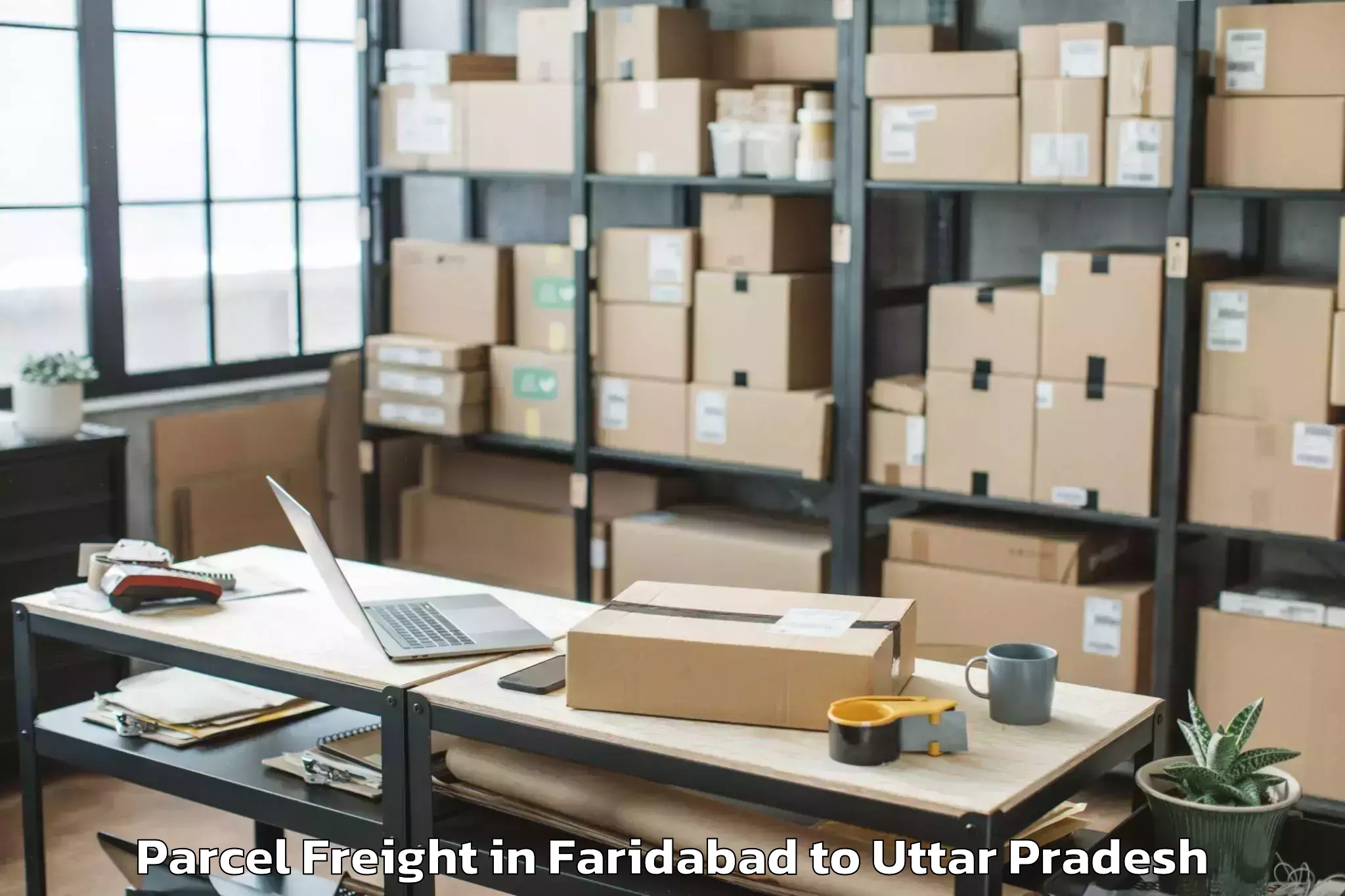 Efficient Faridabad to Lalitpur Parcel Freight